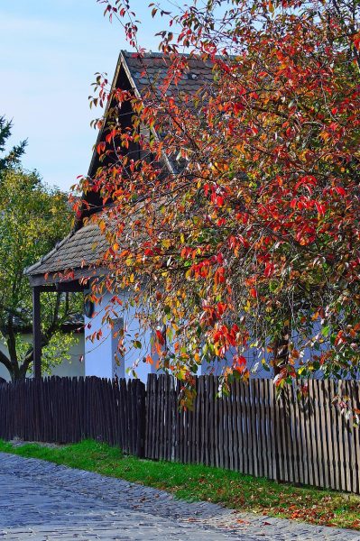Hungarian Farmhouse hungarian-Farmhouse