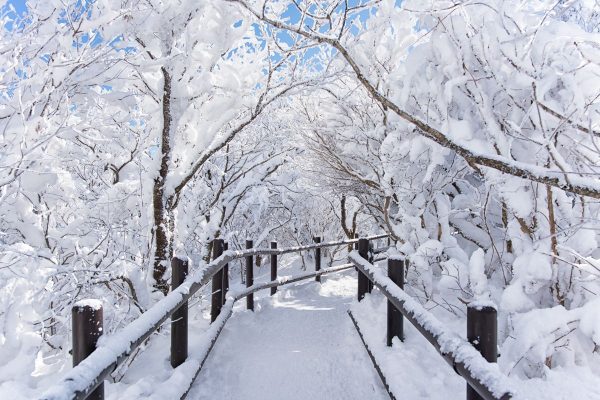 Boardwalk Covered with Snow at Plitvice Lake Croatia