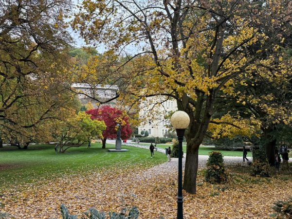 Serene autumn park scene with colorful foliage and visitors strolling through lush greenery. Serene autumn park scene with colorful foliage and visitors strolling through lush greenery.