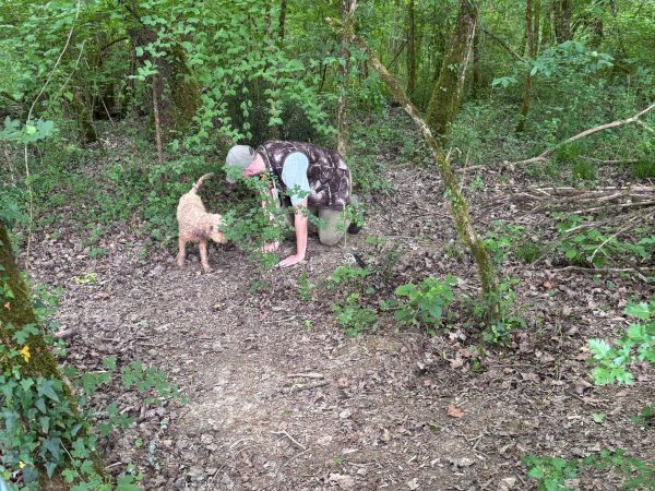 A wider view of the same forest scene: a man in a camouflage vest and cap kneels on a leaf-covered dirt trail, digging in the undergrowth, with a curly-haired tan dog sniffing beside him. Dense green trees, moss-covered trunks, and fallen branches fill the surrounding forest under dappled light.