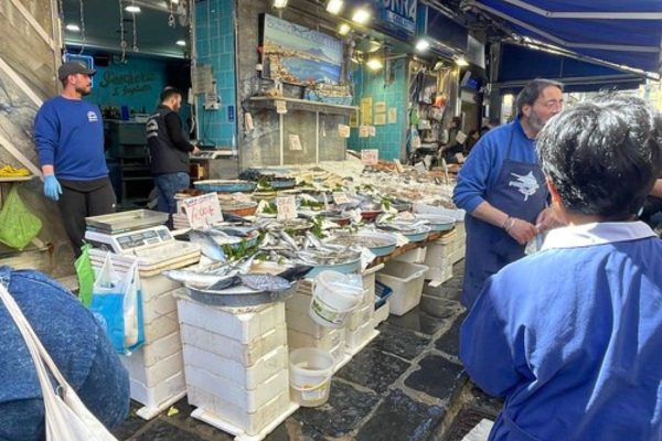 Planning Your Sicily Extended Stay: The Complete Pre-Departure Guide - Palermo Fish Markets, Sicily