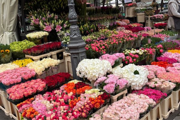 Market stall filled with carefully arranged flowers in shades of pink red cream white and green ready for customers on market day. The vibrant floral display creates a cheerful and colorful scene in the heart of Ljubljana.