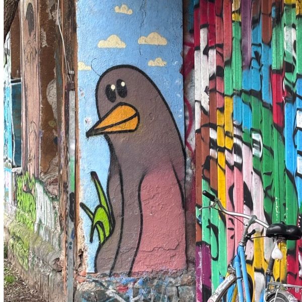 Colourful graffiti of a Pigeon painted on the wall in Metelkova, Ljubljana Solvenia