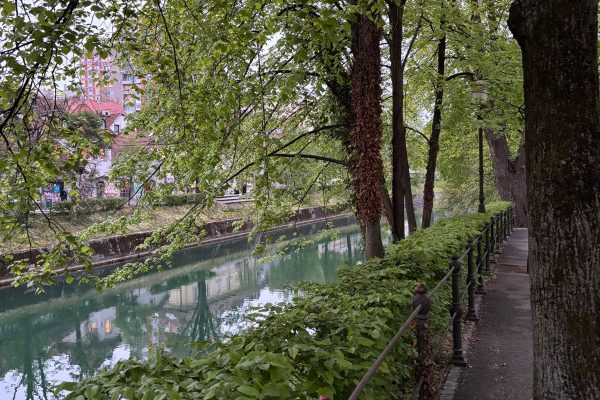 Riverside walkway along the Ljubljanica River with jade green water bordered by lush grass and neatly trimmed shrubs. Chestnut and oak trees line the path creating a peaceful setting for strolling through the heart of Ljubljana.