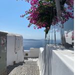 Cobblestone path lined with white walls, vibrant pink bougainvillea, and a view of the calm blue sea under a clear sky. Serene and picturesque.