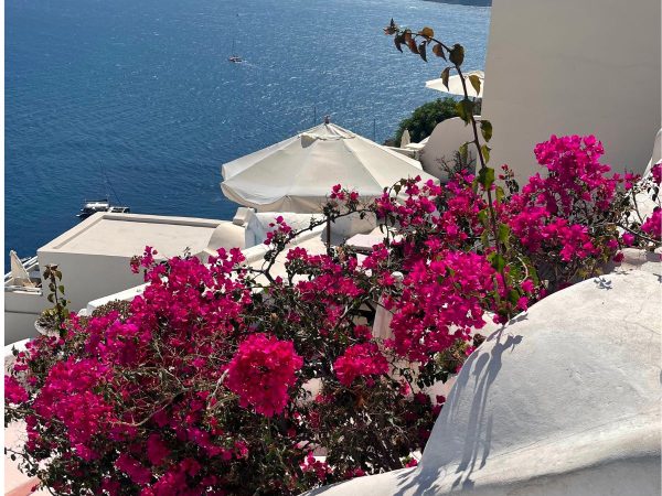 Bright pink bougainvillea blooms against white buildings, overlooking a calm blue sea. A white parasol adds a serene, Mediterranean vibe.
