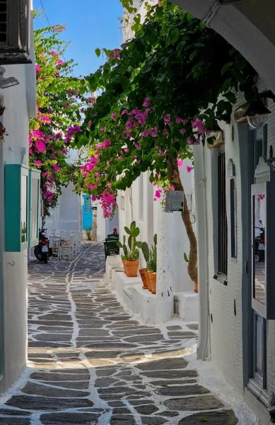 Inspirational Holiday accommodation Greek Islands Greece Narrow cobblestone street with whitewashed walls, vibrant pink bougainvillea, and potted cacti, bathed in bright sunlight. Mediterranean charm.