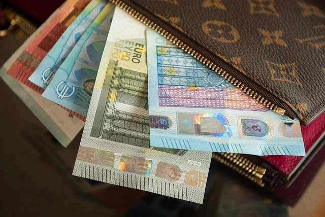 A designer wallet, partially unzipped, reveals several Euro banknotes in various denominations. The scene conveys affluence and luxury.