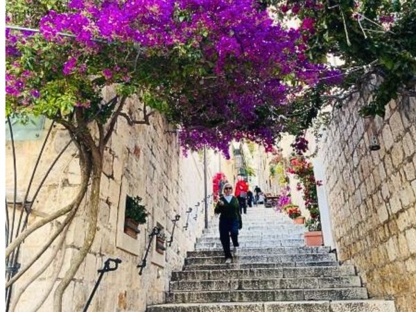 Get Lost in The Back Streets of Hvar, Croatia A vibrant canopy of magenta bougainvillea hangs over a narrow stone staircase in Hvar, Croatia. A woman walks down the historic cobblestone steps flanked by stone walls and potted flowers, while another pedestrian wanders up the sunlit alleyway in the background. Amazing day trip from Split.