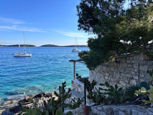 Hvar Harbour, Croatia Day trips from Split. A peaceful coastal view in Hvar, Croatia, looking out over clear, bright blue water where two sailboats float in the distance. A stone building and wall wrapped in lush green pine branches and prickly pear cacti line the rocky shore under a bright, sunny blue sky.